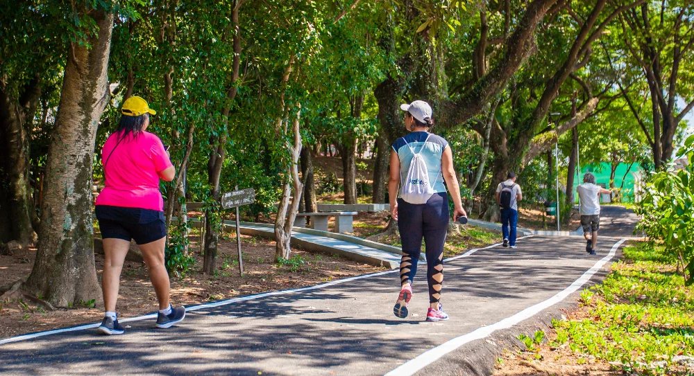 ajudem, preciso entregar esse trabalho amanhã.​ 