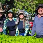 Osasco abre edital para selecionar agricultores familiares para programa de aquisição de alimentos