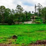 Osasco inicia revitalização no Parque Glauco Villas Boas