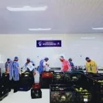 Osasco inicia entregas do Programa de Aquisição de Alimentos (PAA) e fortalece segurança alimentar