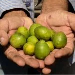 Semana da Economia Solidária em Osasco