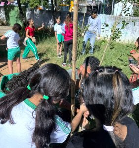 Osasco amplia áreas verdes e fortalece segurança alimentar com projeto de Mini Pomares Urbanos