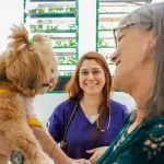 Prefeitura promove vacinação contra a raiva em cães e gatos