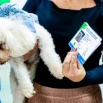 Osasco inicia Censo Animal com emissão de RG