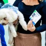 Osasco inicia Censo Animal com emissão de RG