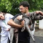 Tutores aproveitam o sábado para vacinar seus pets contra a raiva