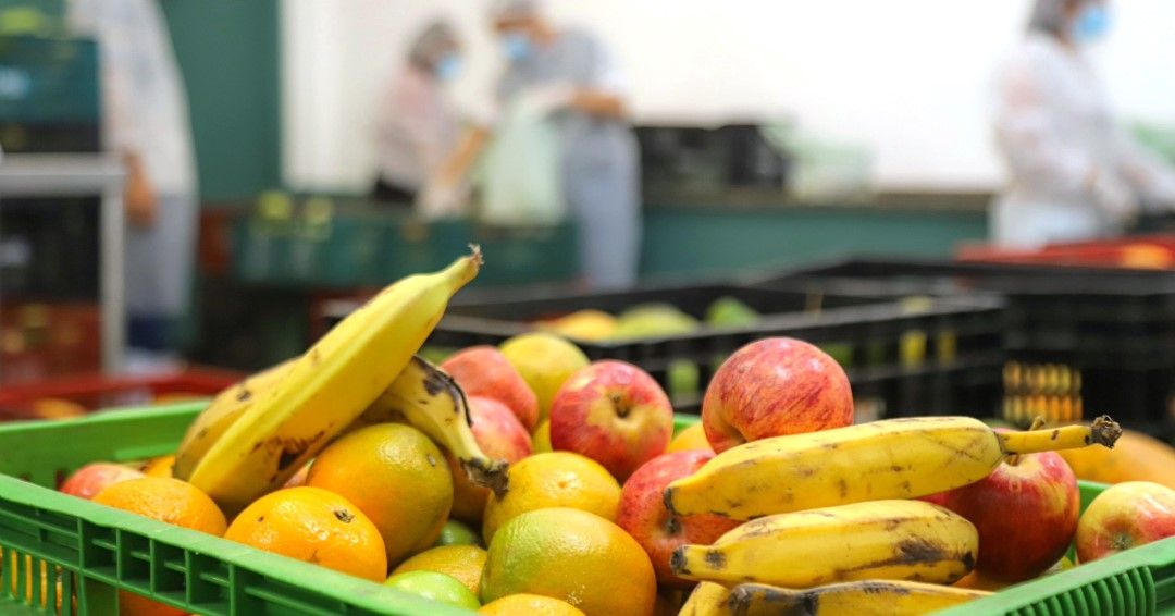 Osasco irá participar da Estratégia Nacional de Segurança Alimentar e Nutricional nas Cidades