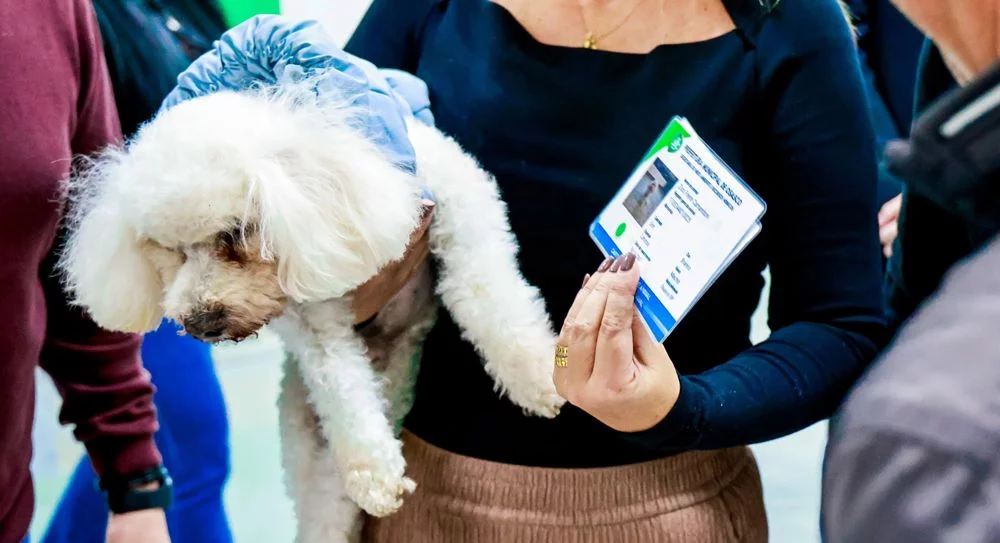 Osasco inicia Censo Animal com emissão de RG