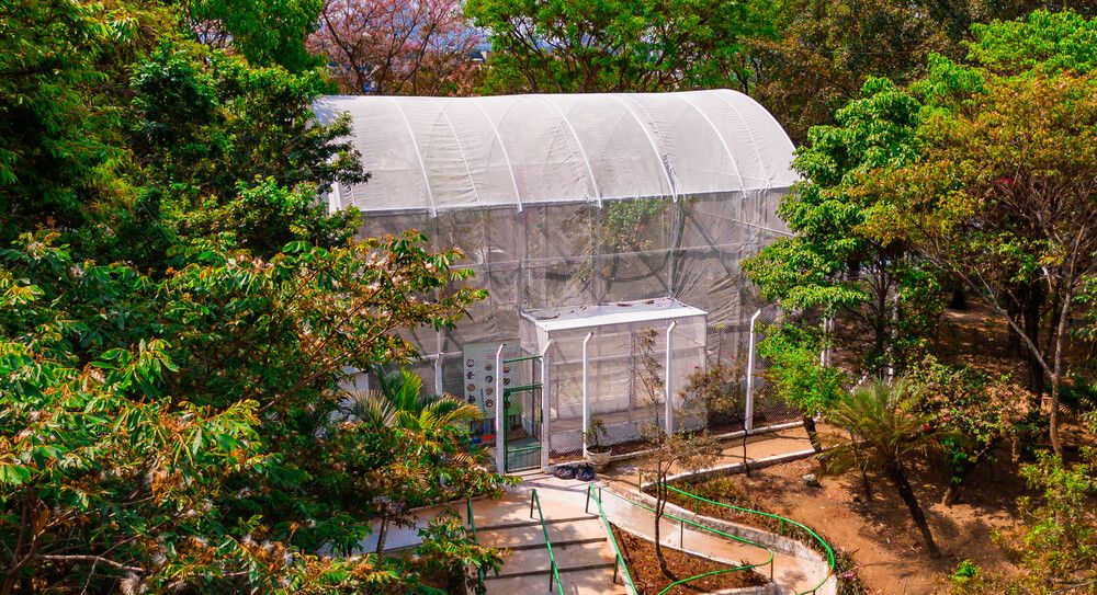 Borboletário de Osasco passa por reforma durante o mês de fevereiro