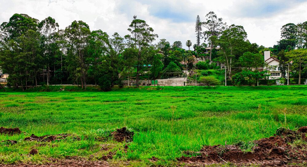 Osasco inicia revitalização no Parque Glauco Villas Boas