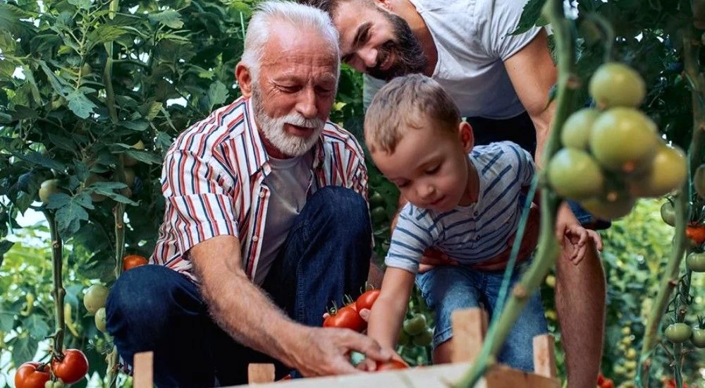 Inauguração do 1º Núcleo de Compostagem e Produção Agroecológica
